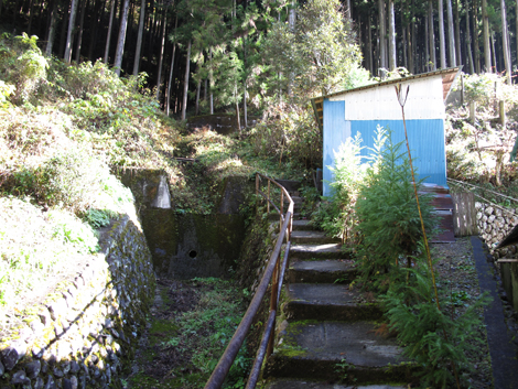 20151116hike (26)